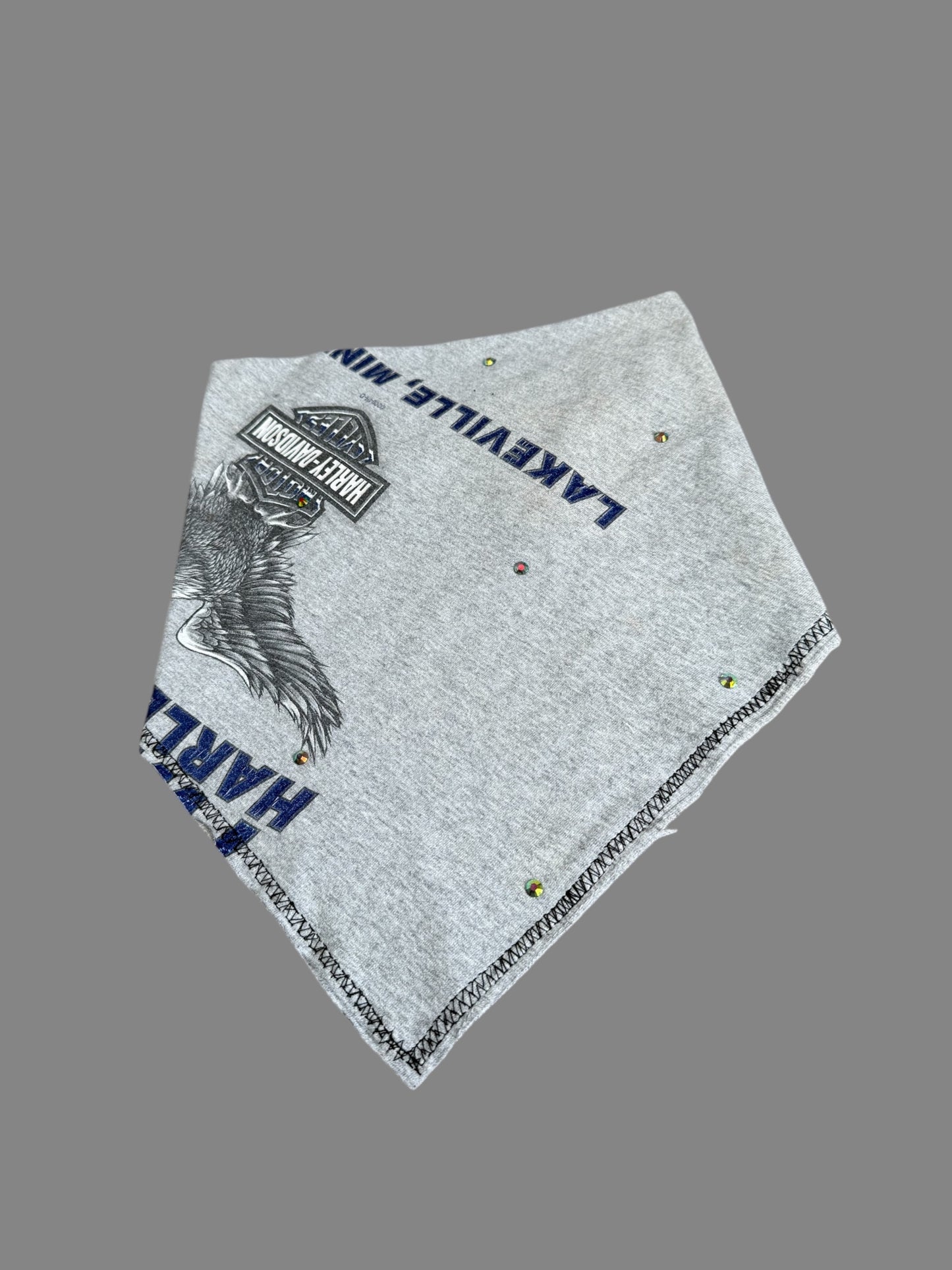 Reworked Harley Davidson Bandana
