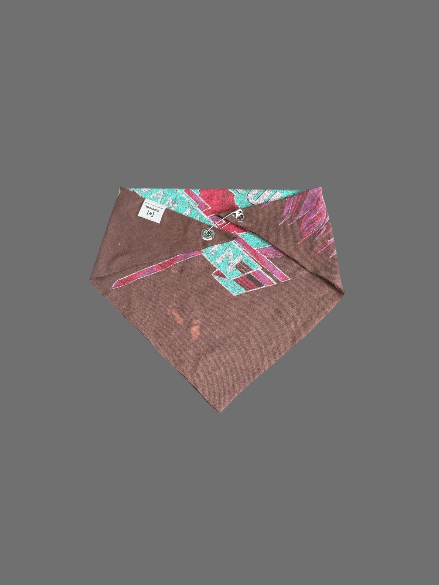 Reworked Band Tour Bandana